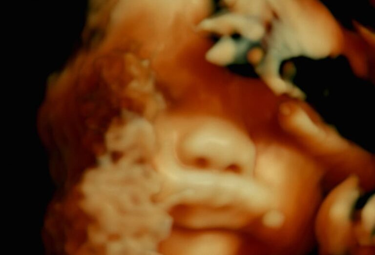 Antenna Documentary Film Festival